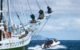 classic yacht at anchor in the andaman sea with a motor launch passing at speed with phuket islands in the distance